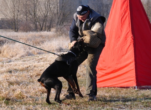 The christmas training 27.12.2006